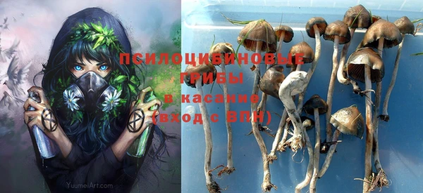 метадон Медвежьегорск